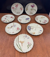 Antique Botanical Plates, Set Of 8