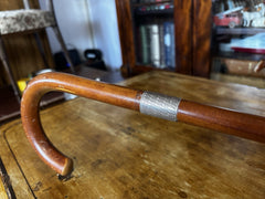 Antique Walking Stick
