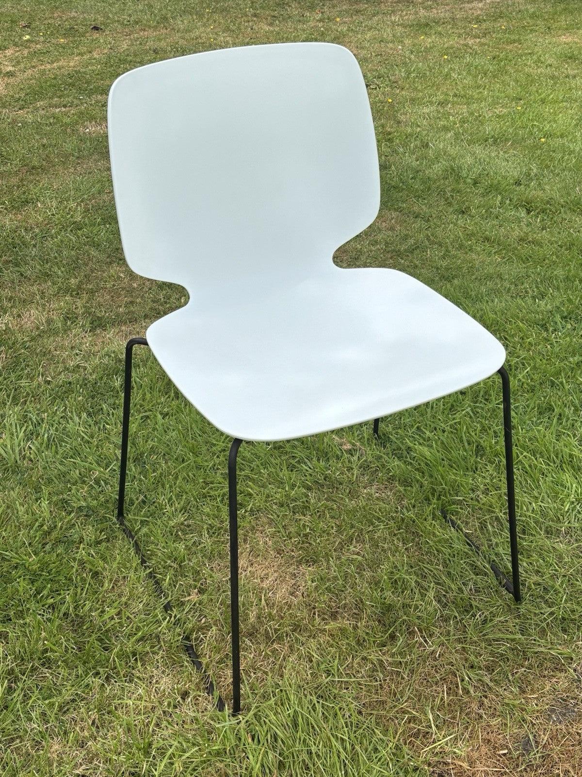 6  Pedrali - Babila Dining Chairs.