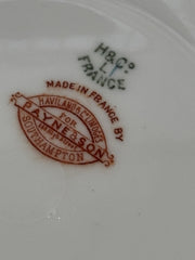Antique H&C HAVILAND DEPOSE LIMOGES SHLEIGER Plates 21.5 Cms Diameter.