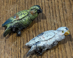 Austrian cold painted parrots