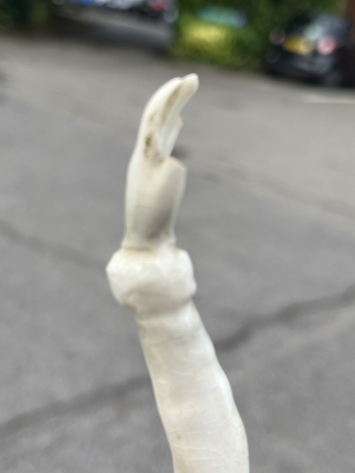 Art Deco Porcelain Skater