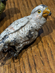 Austrian cold painted parrots