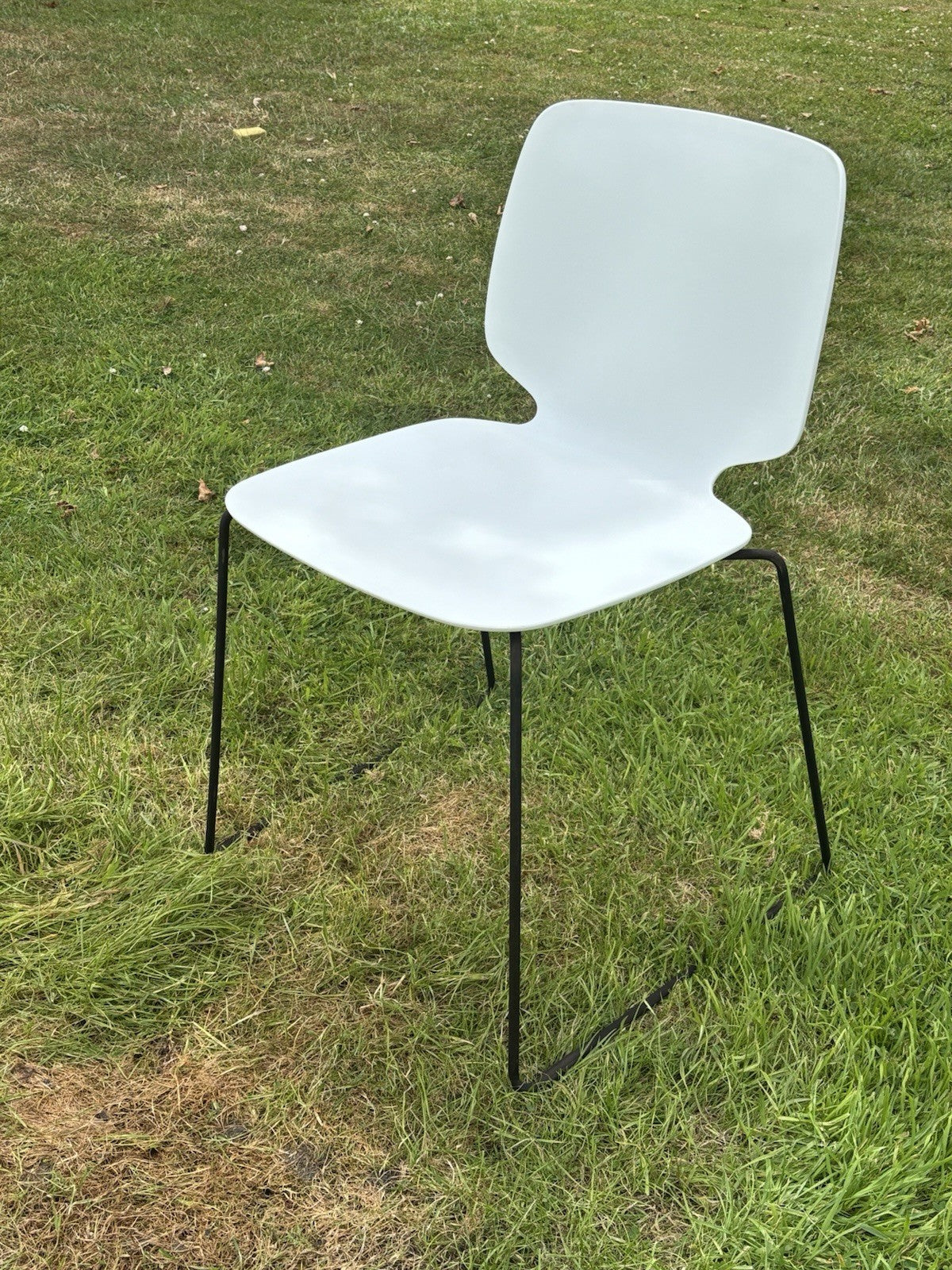 6  Pedrali - Babila Dining Chairs.