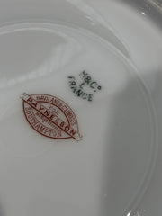 Antique H&C HAVILAND DEPOSE LIMOGES SHLEIGER Bowls 25.5 Cms Diameter.