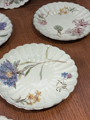 Antique Botanical Plates, Set Of 8