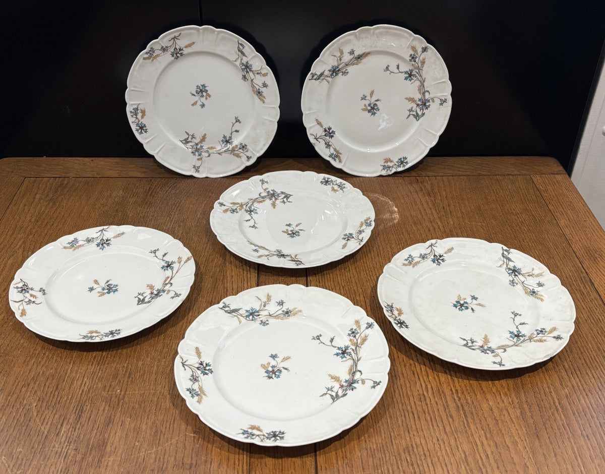 Antique H&C HAVILAND DEPOSE LIMOGES SHLEIGER Plates 21.5 Cms Diameter.