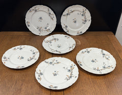 Antique H&C HAVILAND DEPOSE LIMOGES SHLEIGER Plates 21.5 Cms Diameter.