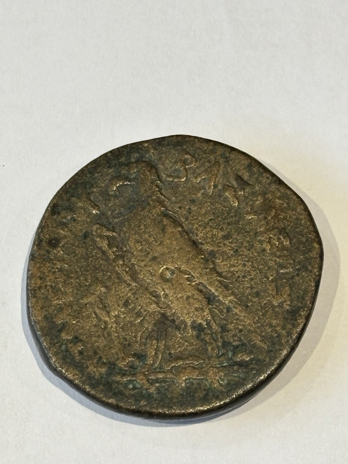 Ancient Ptolemy Coin, Eagle & Zeus