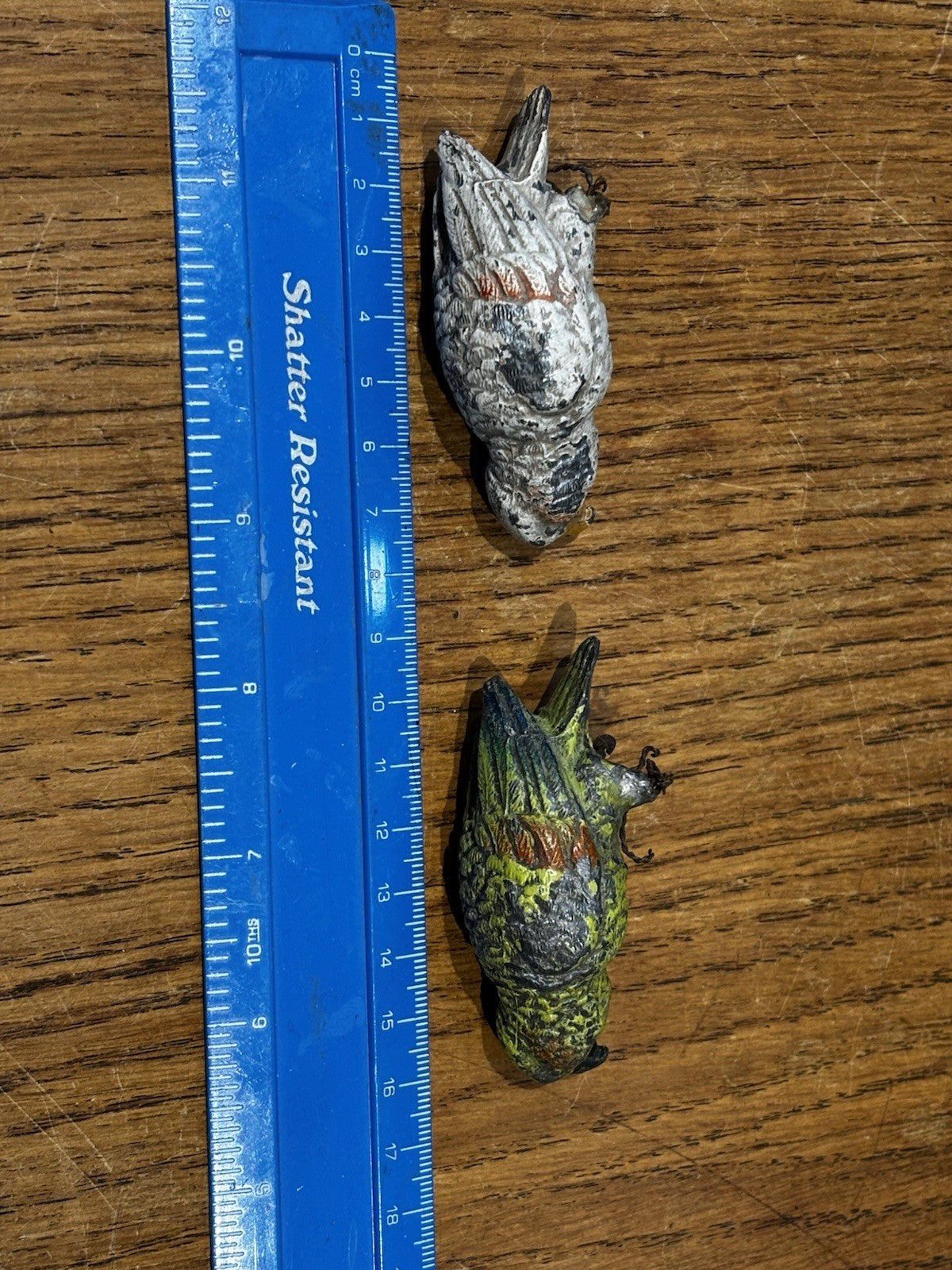 Austrian cold painted parrots