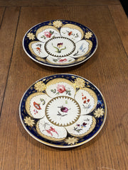 2 Rare Machin Highly Decorated Gilt Painted Plates