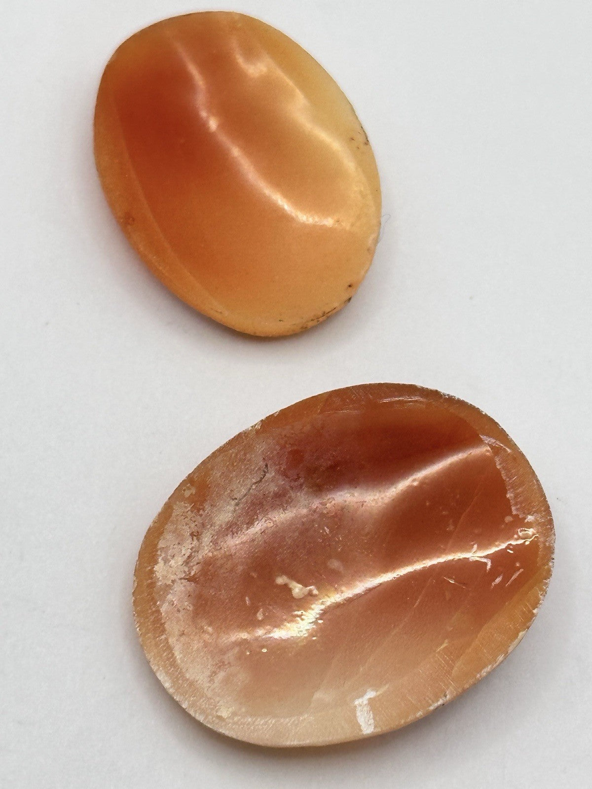 2 Vintage Carved Shell Cameo Unmounted