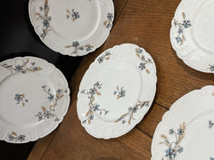 Antique H&C HAVILAND DEPOSE LIMOGES SHLEIGER Plates 21.5 Cms Diameter.