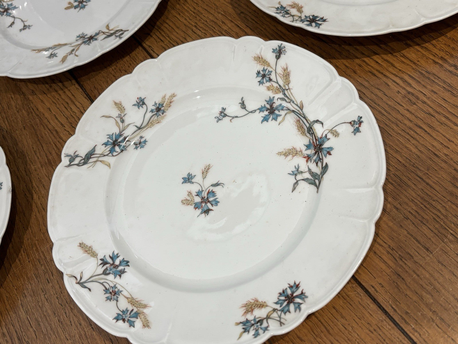 Antique H&C HAVILAND DEPOSE LIMOGES SHLEIGER Plates 21.5 Cms Diameter.