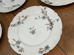 Antique H&C HAVILAND DEPOSE LIMOGES SHLEIGER Plates 21.5 Cms Diameter.