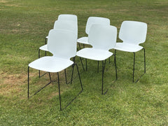 6  Pedrali - Babila Dining Chairs.