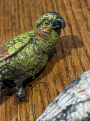 Austrian cold painted parrots