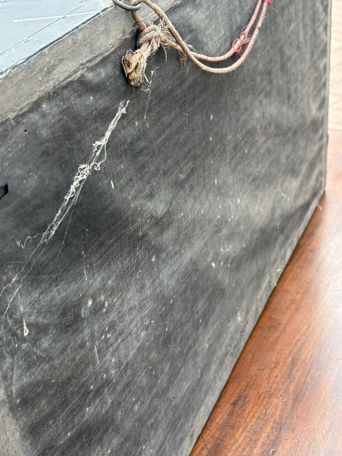 Antique Taxidermy Pheasant In Case
