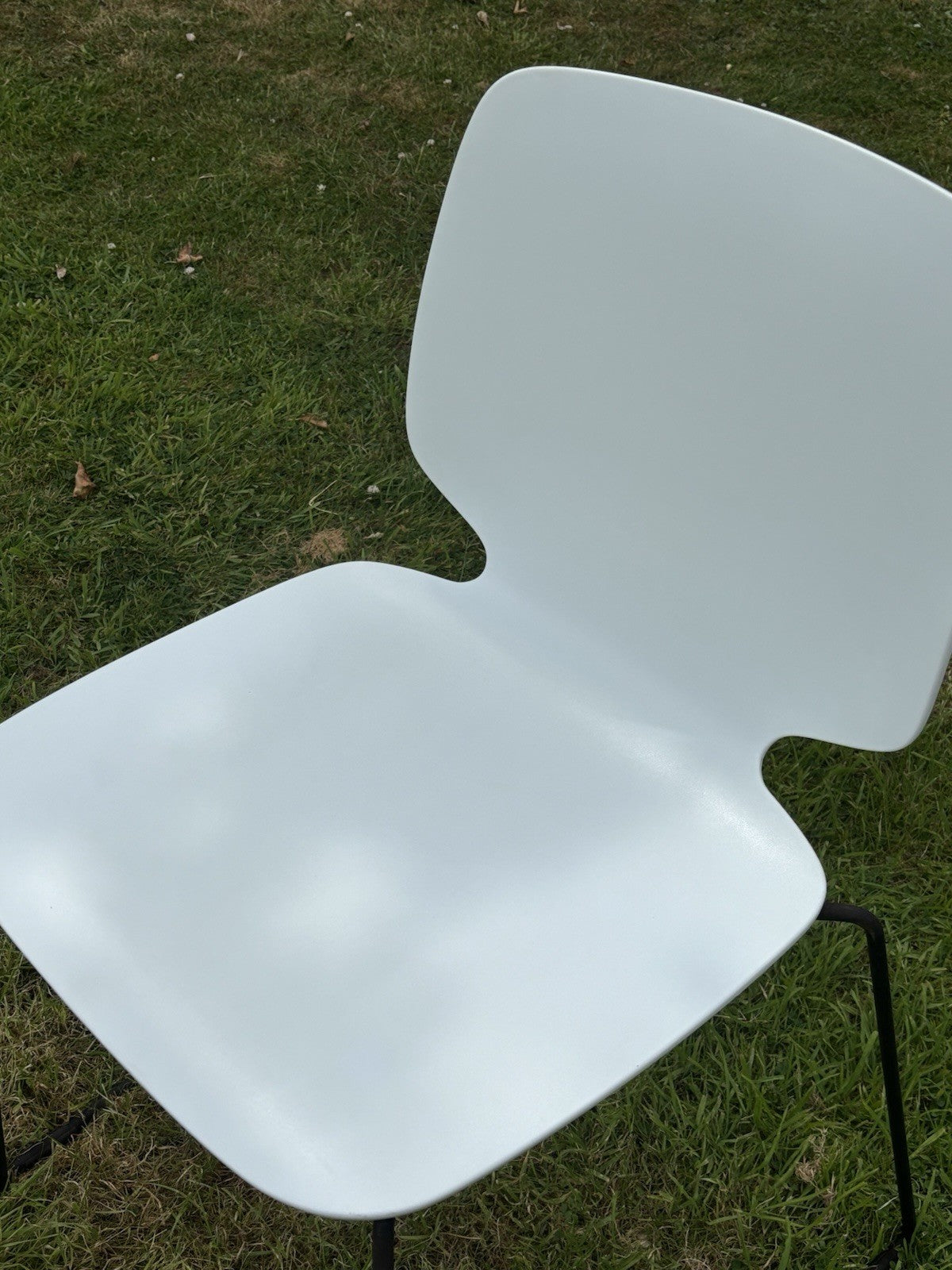 6  Pedrali - Babila Dining Chairs.