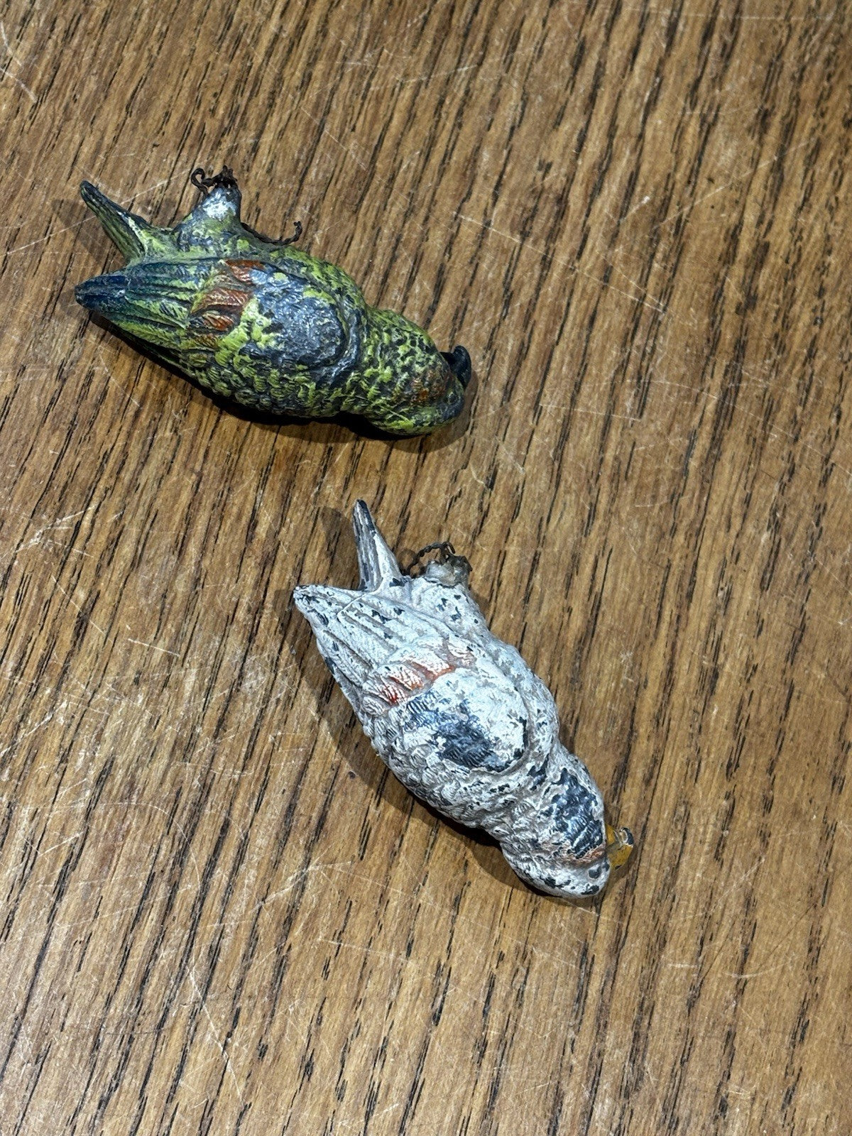 Austrian cold painted parrots