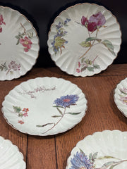 Antique Botanical Plates, Set Of 8