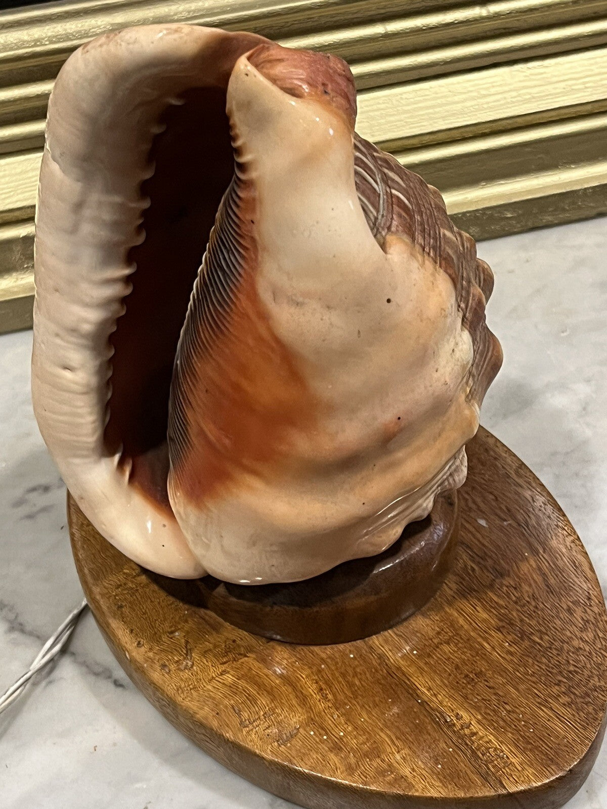 1950's Conch Shell Lamp, Night / Mood Light.